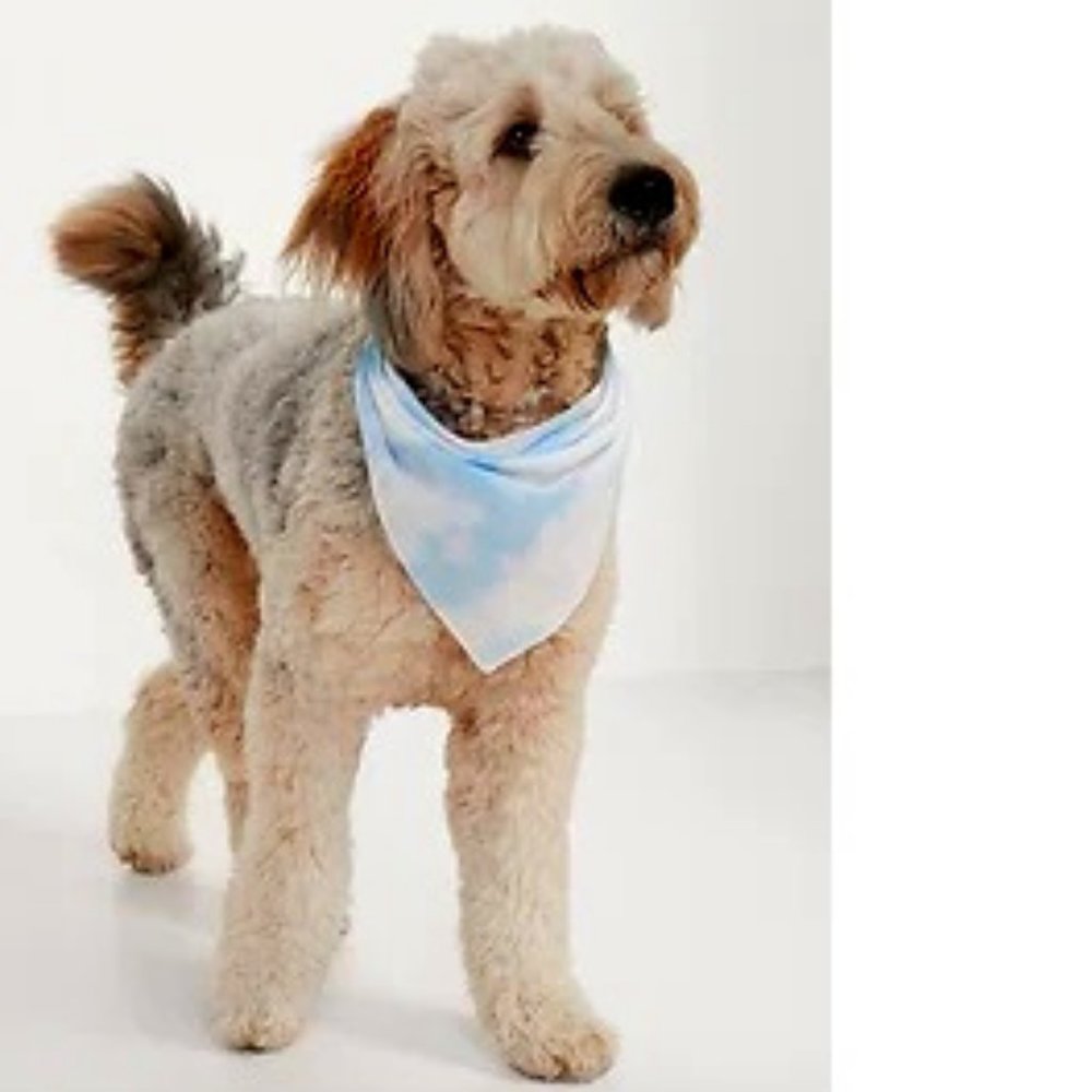 (2) Triangle Bandanas for Pets:  Clouds and Light Blue.  Small to Medium.  New